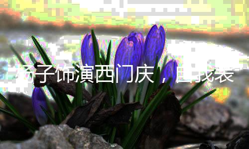 楊子飾演西門慶，自我表現(xiàn)與角色塑造的完美融合