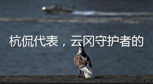 杭侃代表，云岡守護(hù)者的年度記錄