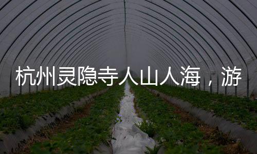 杭州靈隱寺人山人海，游客紛至沓來，感受千年古剎的魅力