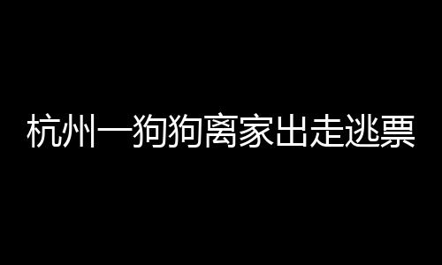 杭州一狗狗離家出走逃票上地鐵被捉，寵物與公共交通的交匯事件揭秘