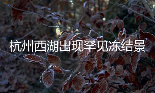 杭州西湖出現(xiàn)罕見凍結(jié)景象