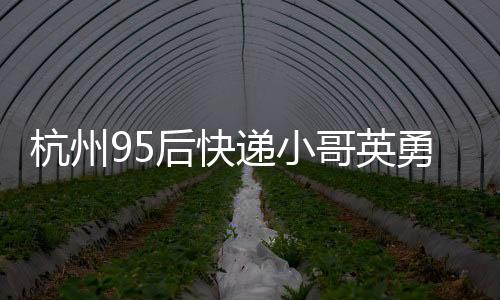 杭州95后快遞小哥英勇守護老人巨額財物，展現(xiàn)新時代正能量