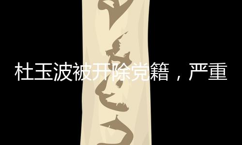 杜玉波被開除黨籍，嚴(yán)重違紀(jì)違法行為的警示與反思
