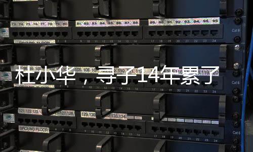 杜小華，尋子14年累了但仍期待驚喜