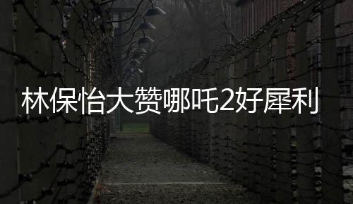 林保怡大贊哪吒2好犀利，深度解讀這部備受矚目的動畫電影