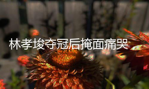 林孝埈奪冠后掩面痛哭，奮斗與榮耀的交織