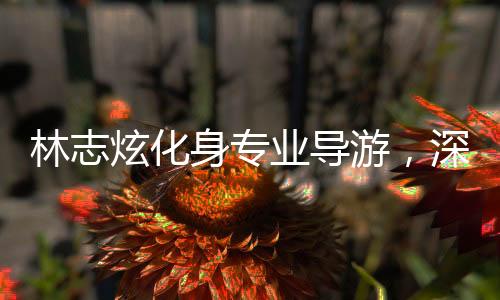 林志炫化身專業(yè)導(dǎo)游，深度解讀拙政園之美