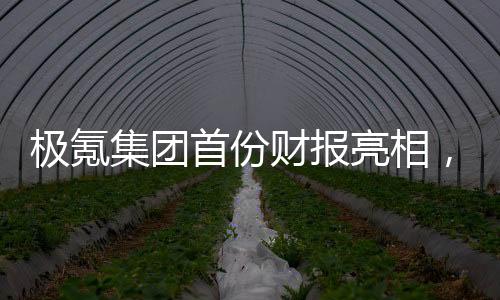 極氪集團(tuán)首份財報亮相，營收突破千億大關(guān)，展現(xiàn)強(qiáng)勁增長勢頭