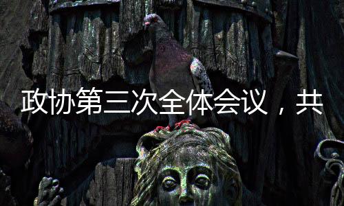 政協(xié)第三次全體會議，共商國是，聚焦發(fā)展