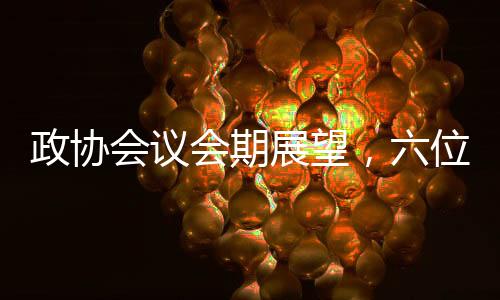政協(xié)會議會期展望，六位一體全面關(guān)注