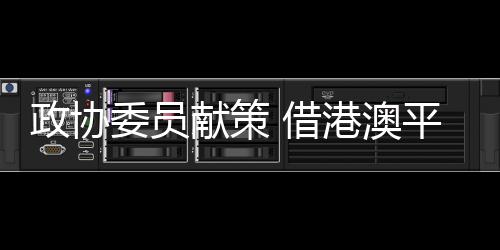 政協(xié)委員獻策 借港澳平臺推“寧夏IP”出海