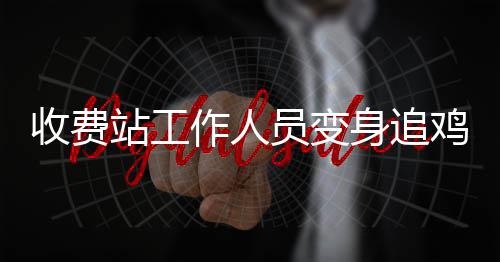 收費站工作人員變身追雞者，一場意外的田園冒險