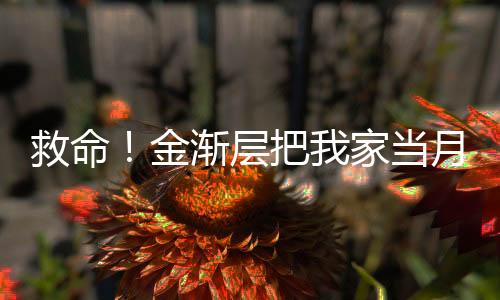 救命！金漸層把我家當(dāng)月子中心了
