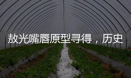 敖光嘴唇原型尋得，歷史與藝術的美妙交融