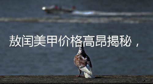 敖閏美甲價(jià)格高昂揭秘，優(yōu)質(zhì)美甲的背后故事