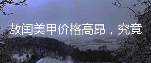 敖閏美甲價格高昂，究竟隱藏何種獨特價值？