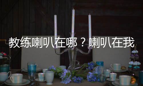 教練喇叭在哪？喇叭在我嘴里，嗶