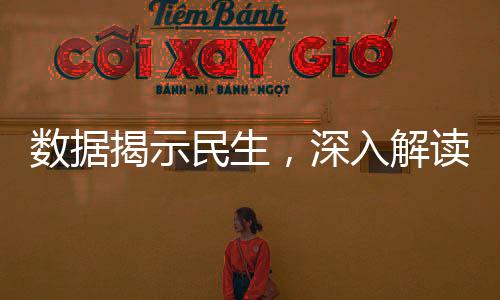 數(shù)據(jù)揭示民生，深入解讀社會(huì)動(dòng)態(tài)與人民生活變遷