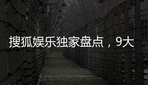 搜狐娛樂(lè)獨(dú)家盤(pán)點(diǎn)，9大黯然失色黑榜藝人