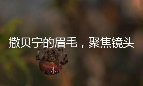 撒貝寧的眉毛，聚焦鏡頭下的獨(dú)特魅力