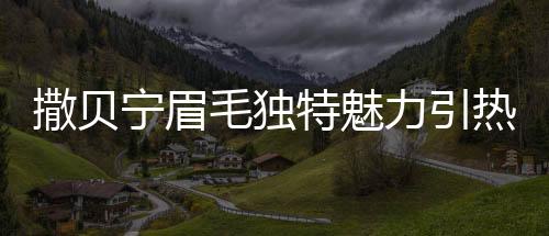 撒貝寧眉毛獨特魅力引熱議，與蠟筆小新神似現(xiàn)象探討