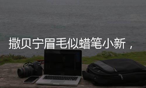 撒貝寧眉毛似蠟筆小新，一場關(guān)于模仿與魅力的熱議