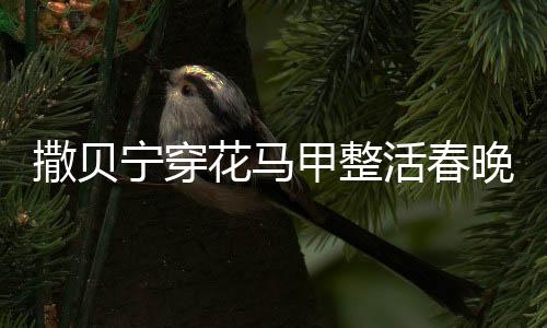 撒貝寧穿花馬甲整活春晚機器人，科技與藝術的完美融合引領新風尚