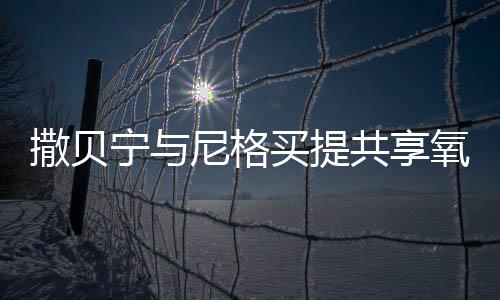 撒貝寧與尼格買提共享氧氣瓶，一段探險旅程的生動見證
