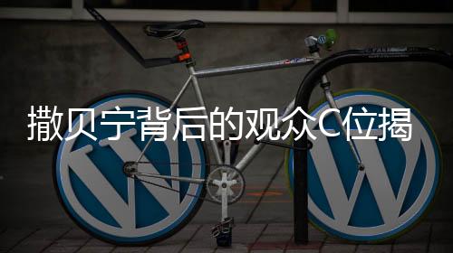撒貝寧背后的觀眾C位揭秘，一場關(guān)于舞臺與矚目的熱議話題