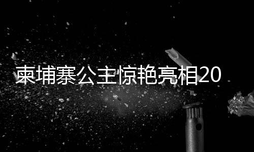 柬埔寨公主驚艷亮相2025云南春晚，文化交融之夜熠熠生輝