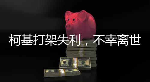 柯基打架失利，不幸離世