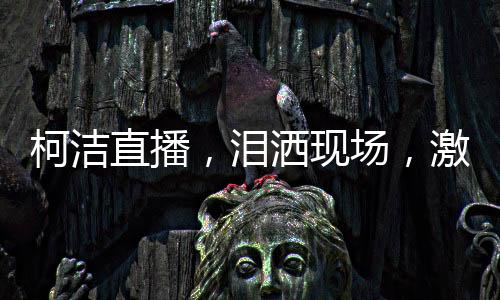 柯潔直播，淚灑現(xiàn)場(chǎng)，激戰(zhàn)金鏟鏟之戰(zhàn)
