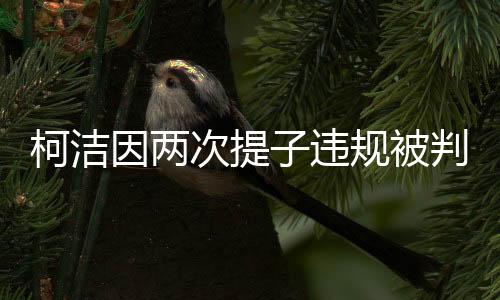 柯潔因兩次提子違規(guī)被判負(fù)，圍棋規(guī)則與競(jìng)技精神的探討