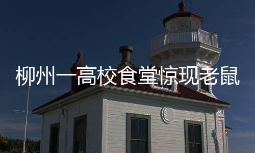柳州一高校食堂驚現(xiàn)老鼠爬上煮面桶，衛(wèi)生安全引發(fā)關(guān)注