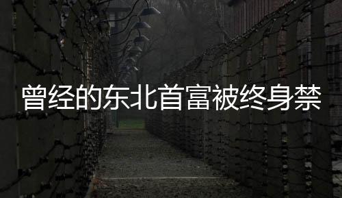 曾經(jīng)的東北首富被終身禁入證券市場，揭幕財富風云背后的警示故事