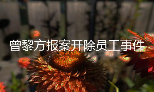 曾黎方報案開除員工事件全面解析