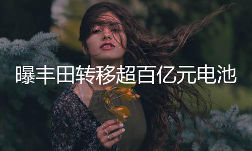 曝豐田轉(zhuǎn)移超百億元電池訂單，電池行業(yè)的重新洗牌？深度解讀新動(dòng)態(tài)！