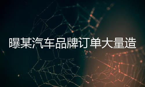 曝某汽車品牌訂單大量造假，深度調(diào)查與揭秘
