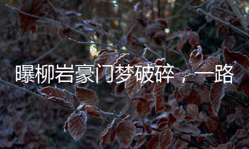曝柳巖豪門夢破碎，一路跌宕起伏的心路歷程