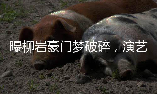 曝柳巖豪門(mén)夢(mèng)破碎，演藝圈的真實(shí)內(nèi)幕