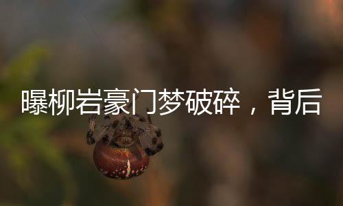 曝柳巖豪門夢破碎，背后的故事引人深思