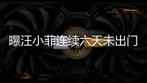 曝汪小菲連續(xù)六天未出門，S媽回應(yīng)