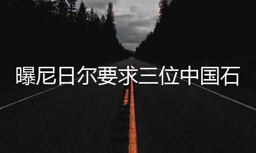 曝尼日爾要求三位中國石油高管離境，引發(fā)國際關(guān)注
