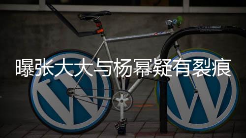 曝張大大與楊冪疑有裂痕，昔日友情或已告一段落？