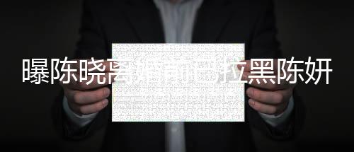 曝陳曉離婚前已拉黑陳妍希，一段婚姻走向終結(jié)的背后故事