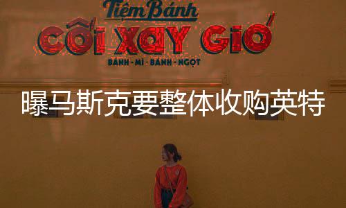 曝馬斯克要整體收購(gòu)英特爾！公司股價(jià)暴漲近10%