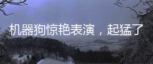 機(jī)器狗驚艷表演，起猛了，舞動科技之魅