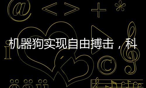 機(jī)器狗實(shí)現(xiàn)自由搏擊，科技與運(yùn)動的完美結(jié)合