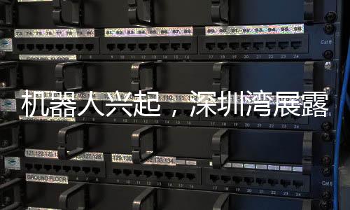 機(jī)器人興起，深圳灣展露科技新風(fēng)貌——機(jī)器人在深圳灣跑步的嶄新篇章