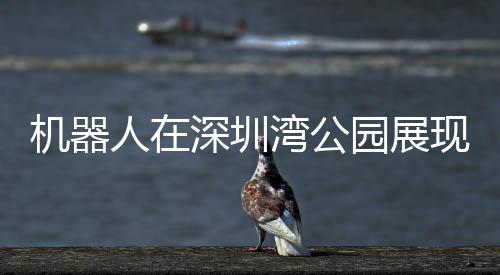 機(jī)器人在深圳灣公園展現(xiàn)新風(fēng)貌，跑步競賽的新時代篇章